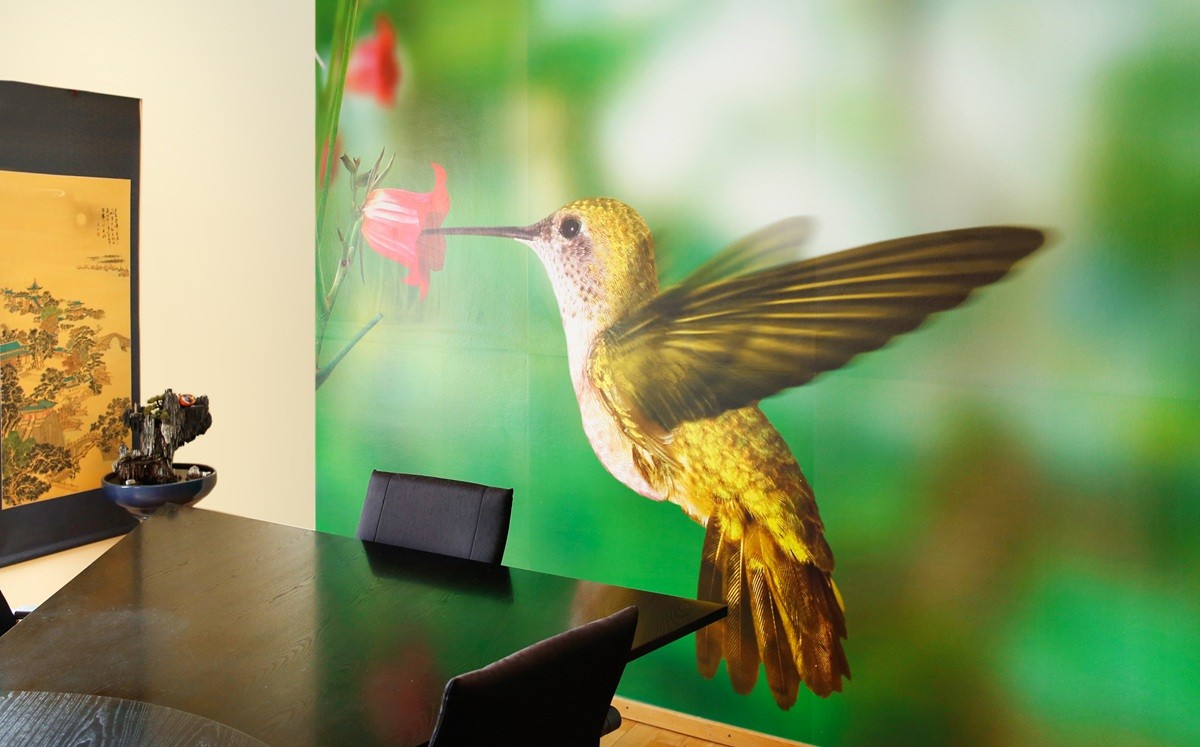 Kolibri vor einem Besprechungstisch in der Anwalts-Kanzlei Dr. Sonntag Rechtsanwälte